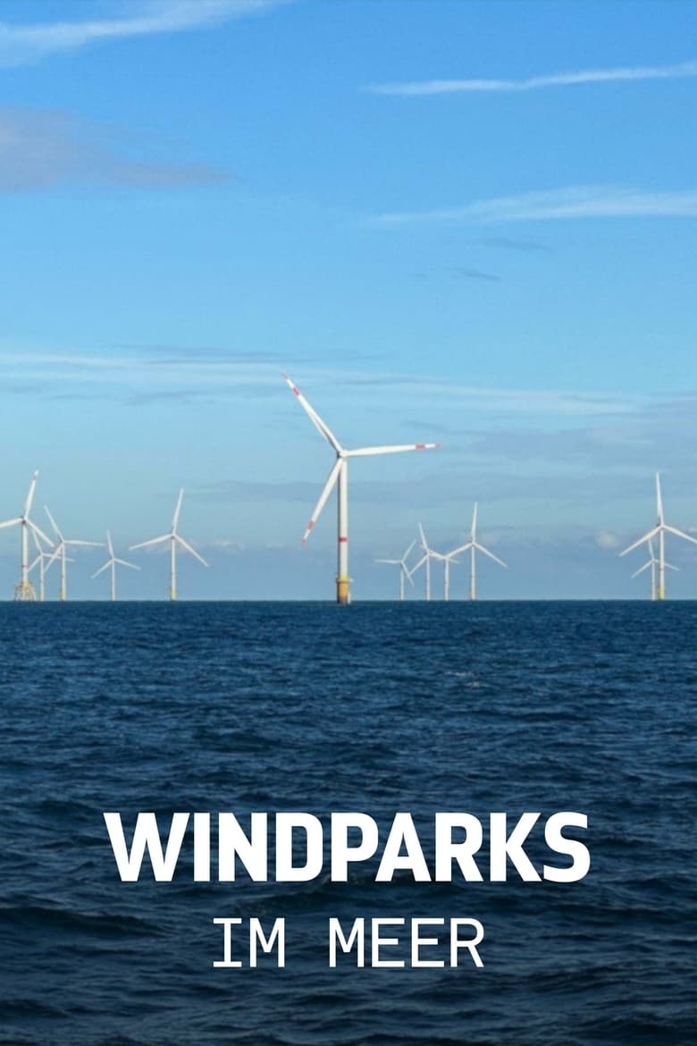 Windparks im Meer - Chance oder Risiko für die Natur? poster