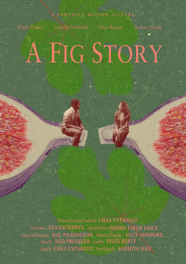 Imatge de A Fig Story