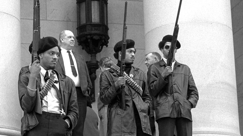 The Black Panthers: Vanguard of the Revolution (2015)