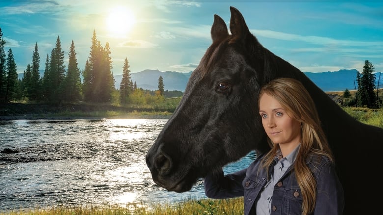 Heartland Season 3 Episode 7 : The Starting Gate