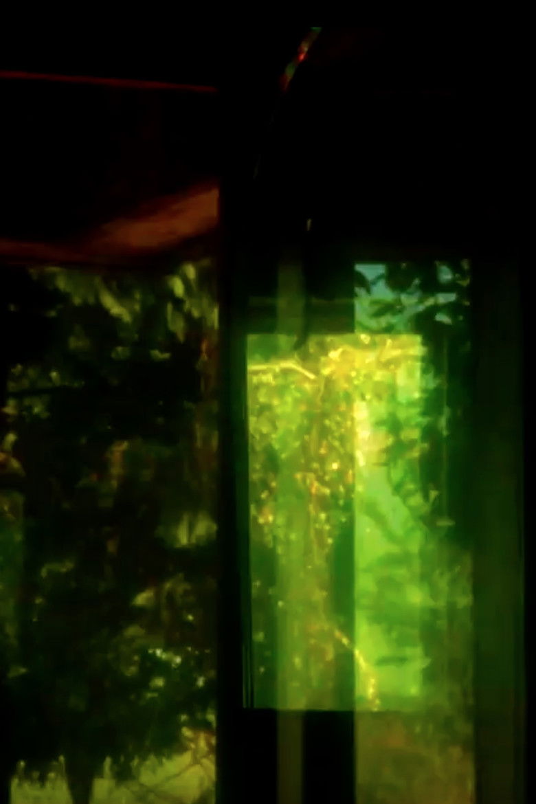 Imatge de idizwadidiz