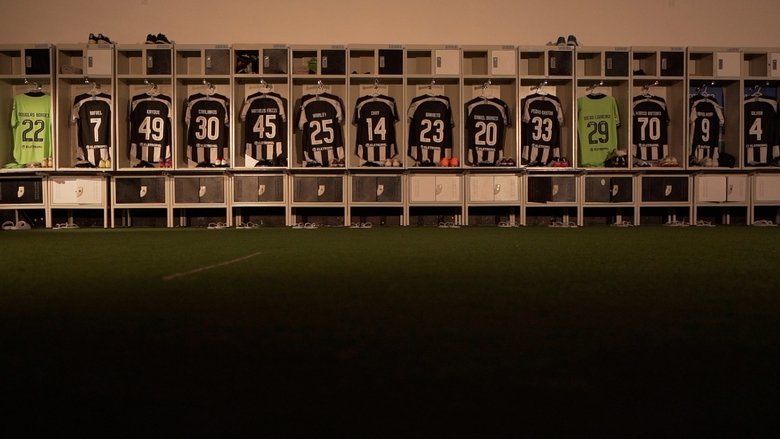 Acesso Total: Botafogo backdrop