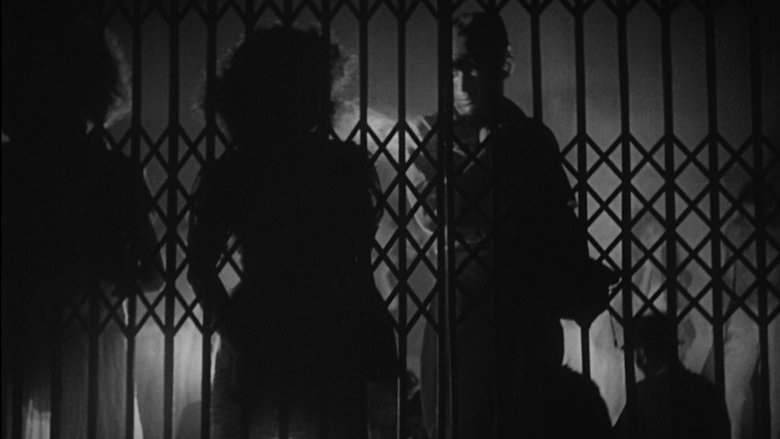 Stray Dog (1949)