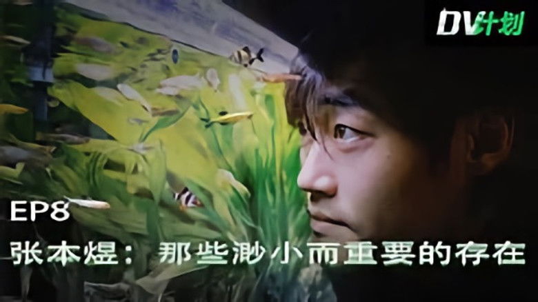 Still image for DV计划 season 1 episode 8: Episode 8