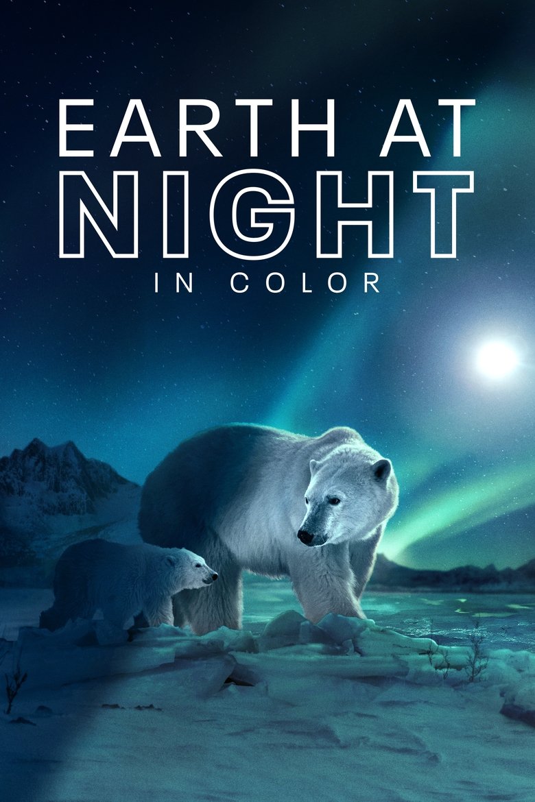 Earth at Night in Colour