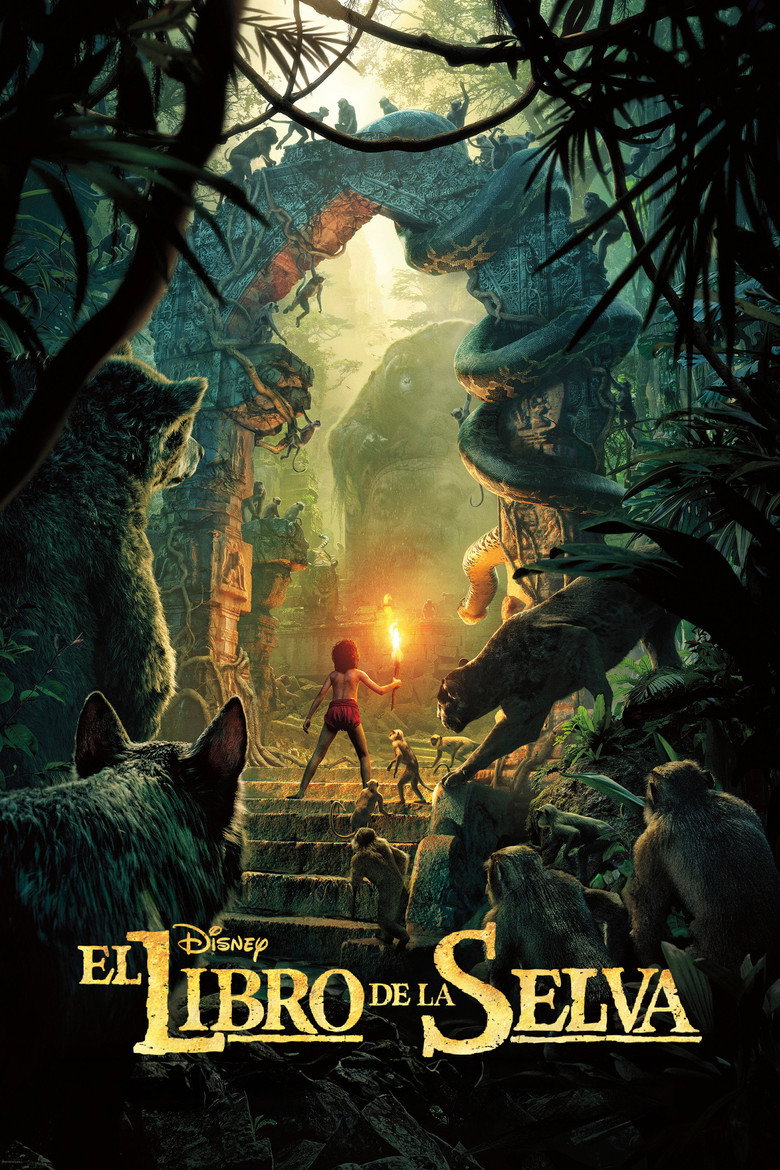 Póster la Película