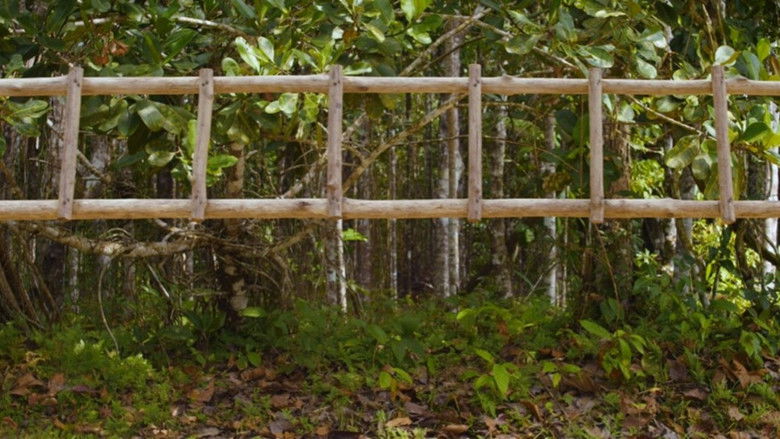 Gallery image from pHjrnJRnyGeZuyjMGppS8VthnbW.jpg