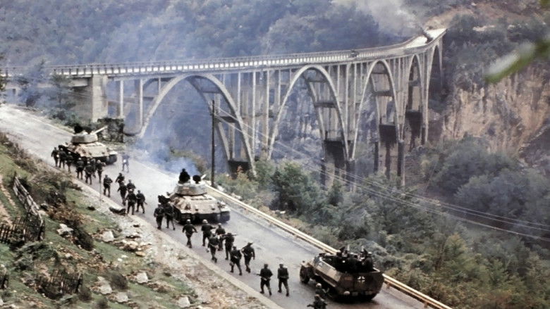 Backdrop de Navarone Collection