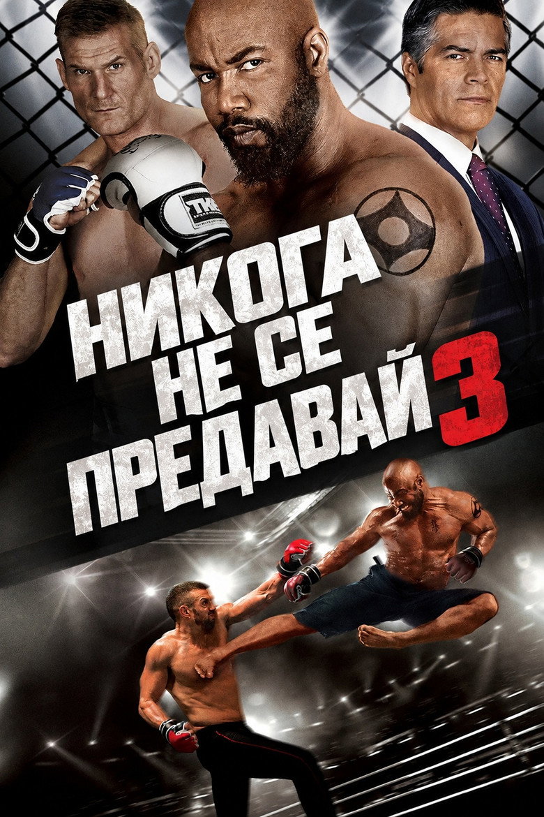 Постер на Никога не се предавай 3