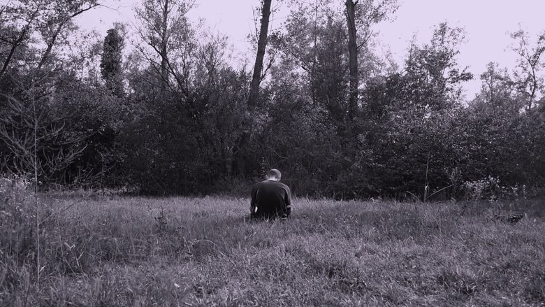 Gallery image from pIU2KXUH0hQ2OTrV0ZOxGvznweV.jpg