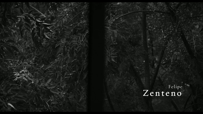 Como Agua de Vertiente galeri 3
