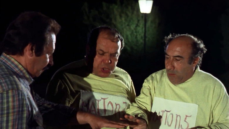 Imatge de La sai l'ultima sui matti?