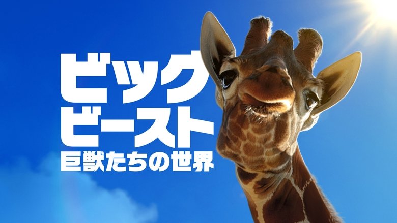 Gallery image from pK9vkx51S8Lu31OJIV8MvOPWWJm.jpg