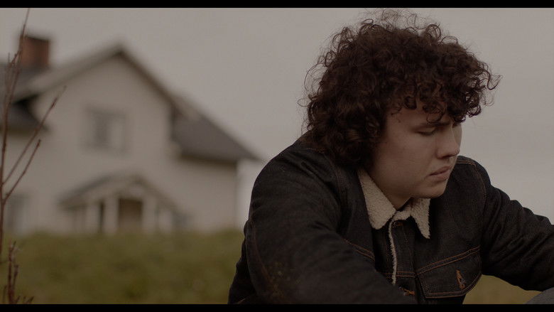 Gallery image from pLQdydt2s6xlhejinMTM7vCl2v3.jpg