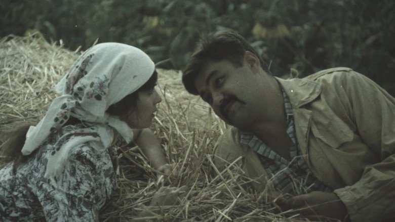 Frame from Вперед, за скарбами гетьмана!