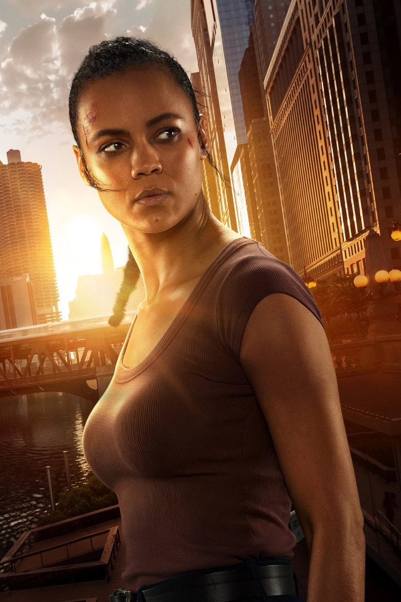 Póster la Serie