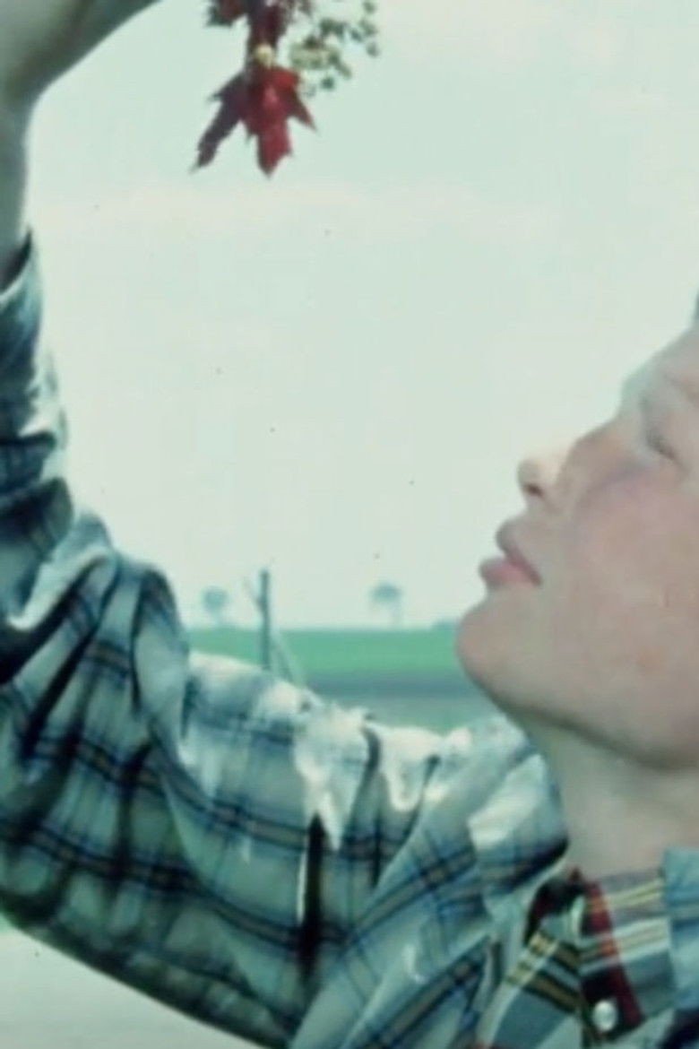 Imatge de Farm Family In Spring