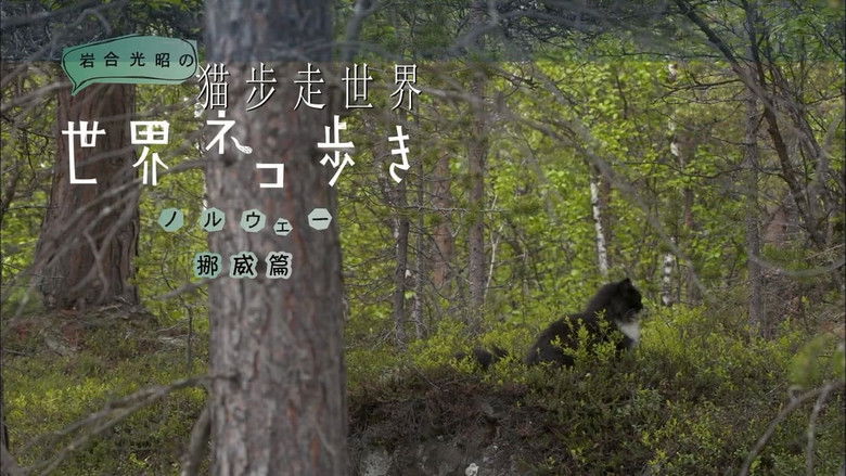 Still image for Mitsuaki Iwago's World “Cats” Travelogue season 1 episode 21: Norway Still image for Mitsuaki Iwago's World “Cats” Travelogue season 1 episode 21: Norway