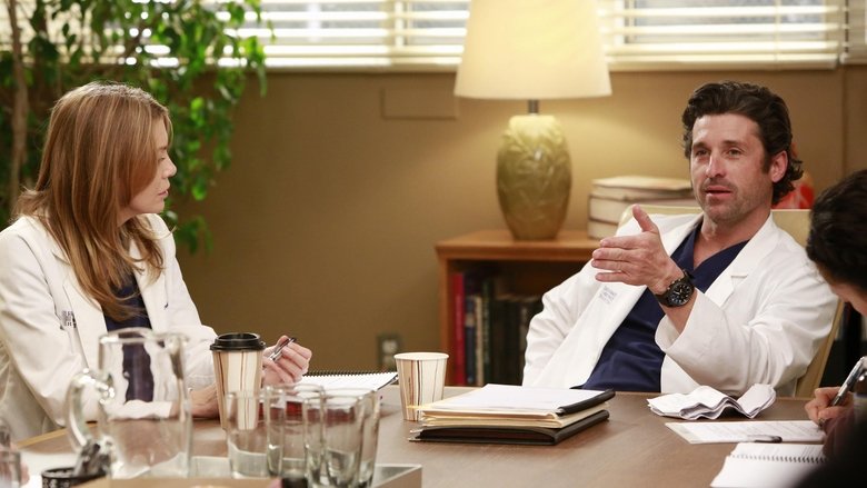 Greys Anatomy Saison 17 Episode 9 Streaming Série Grey's Anatomy saison 9 épisode 17 complète en streaming VF et VOSTFR