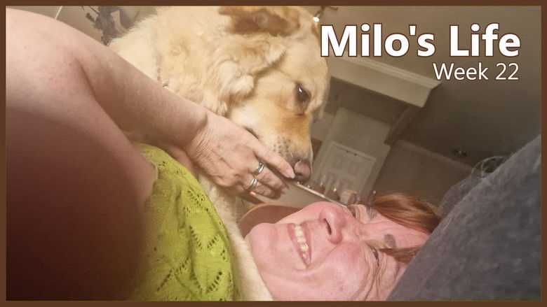 Still image for Milo's Life season 1 episode 22: Fun in the Sun | Week 22 Still image for Milo's Life season 1 episode 22: Fun in the Sun | Week 22