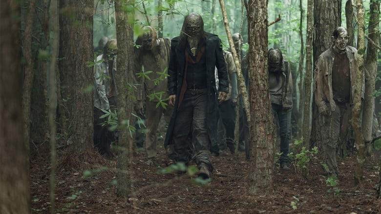 The Walking Dead Season 5 Episode 2 : Strangers