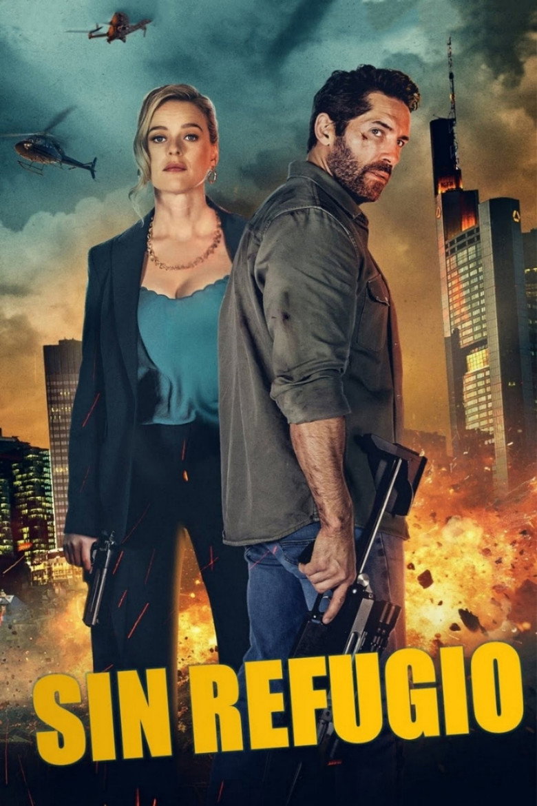 Póster la Película