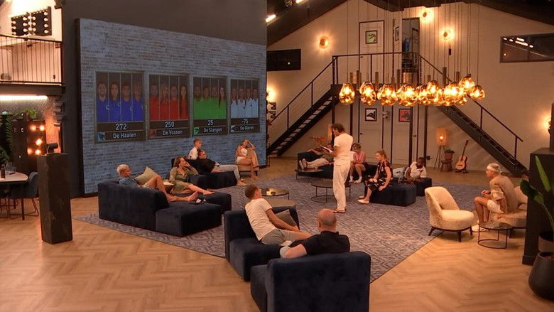 Still image for De Bondgenoten season 1 episode 194: Episode 194