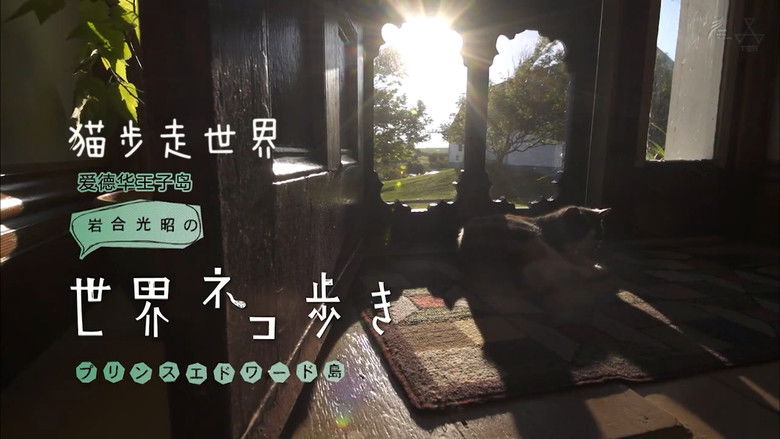 Still image for Mitsuaki Iwago's World “Cats” Travelogue season 1 episode 54: Prince Edward Island Still image for Mitsuaki Iwago's World “Cats” Travelogue season 1 episode 54: Prince Edward Island