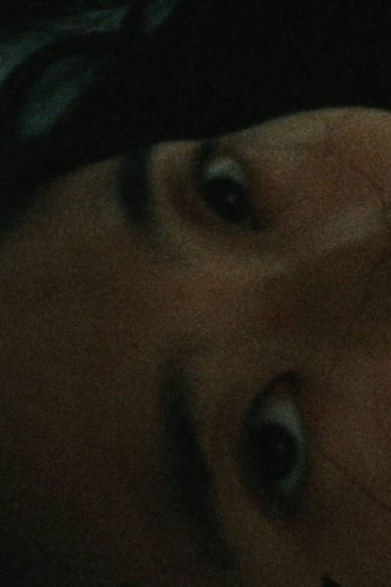 Imatge de Glistening Seagull