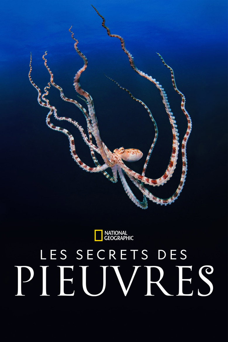 Póster la Serie