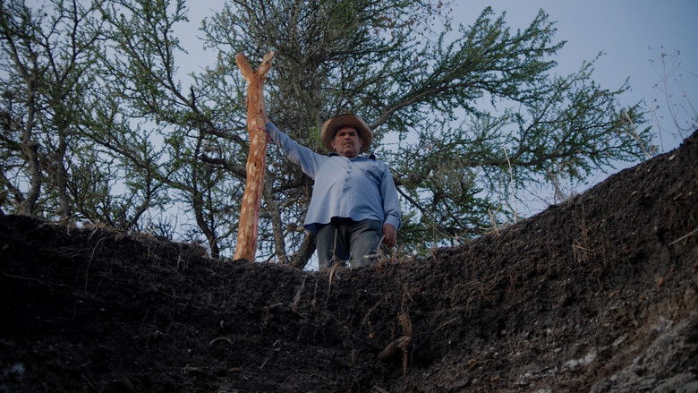 Gallery image from pQonM8X9LHflewDGoe4Dgge6r2u.jpg