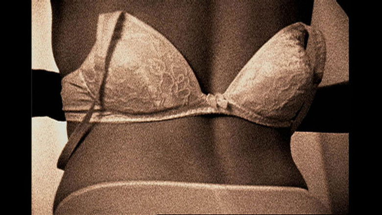 Gallery image from pRCuA7TyejnA337DxrKovdTMJcQ.jpg