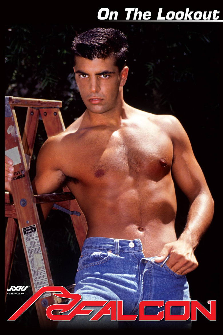 Imatge de On the Lookout