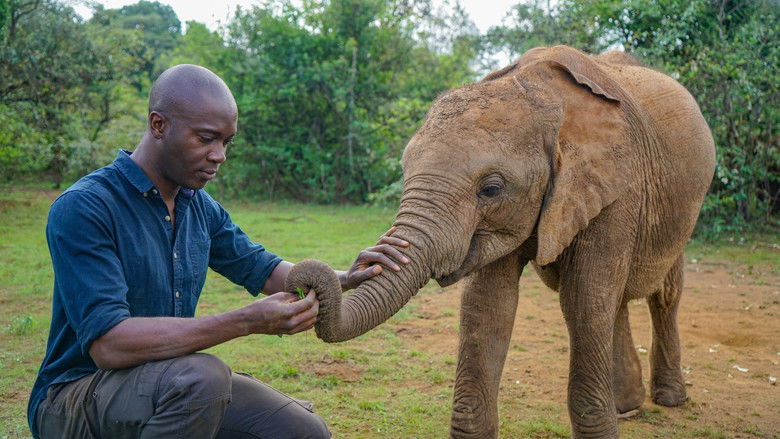 Still image for Wild Animals Babies season 1 episode 1: Single Kids Still image for Wild Animals Babies season 1 episode 1: Single Kids