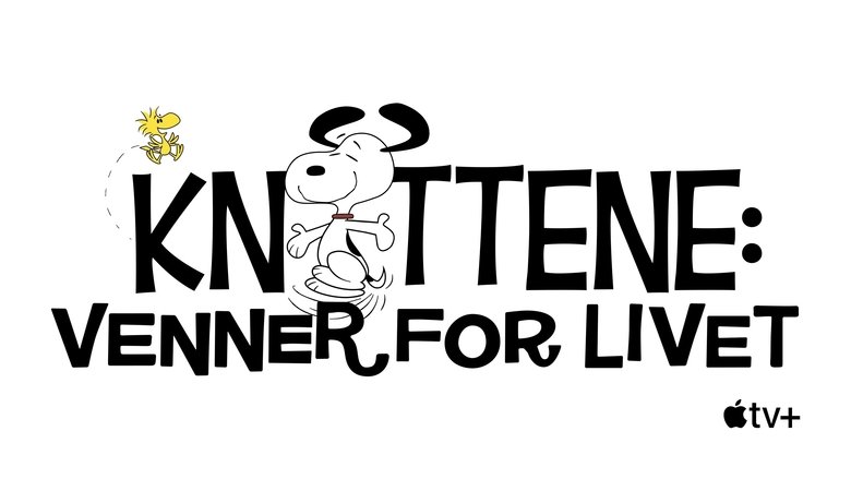 Gallery image from pSK4EDxoW4K9CY7E0IXvU9IDjXB.jpg