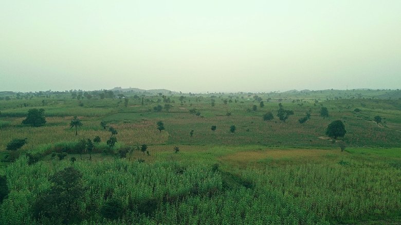 The Sahel Cuisine: Fura Da Nono (2024)