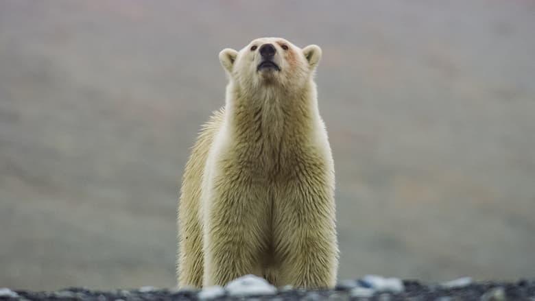 Still from Frozen Planet II - Season 1 Episode 6