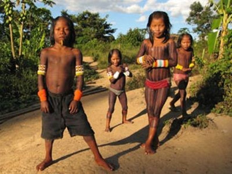 Amazon with Bruce Parry 1×6