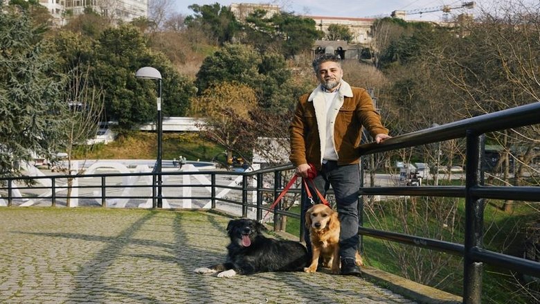 Still image for Arkadaş Canlısı season 1 episode 9: Episode 9