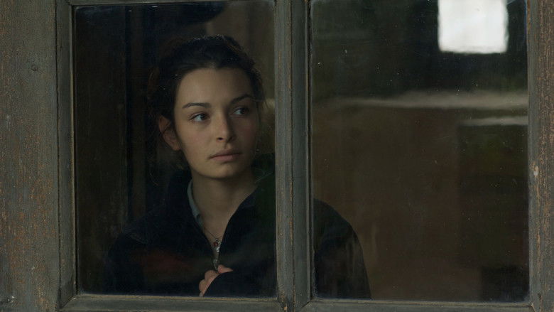 Imatge de Songs of Love and Hate