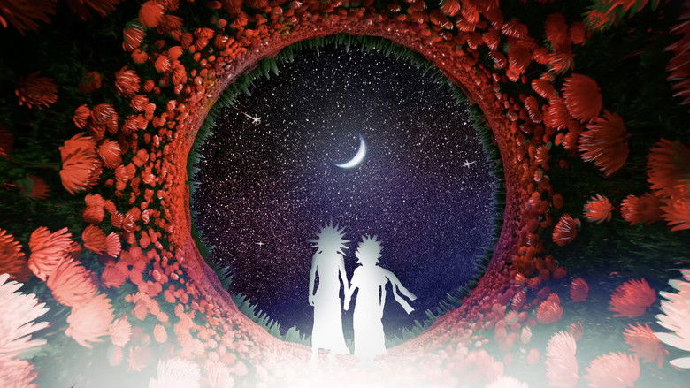 Imatge de HÉTÉROCÈRES