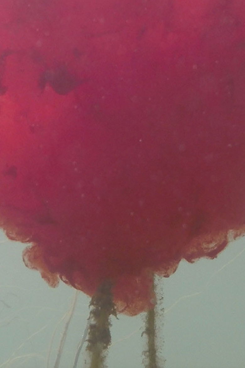 Imatge de Strangely Ordinary This Devotion