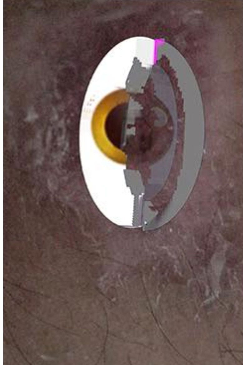 Imatge de A Cyborg's Guide to Pleasure