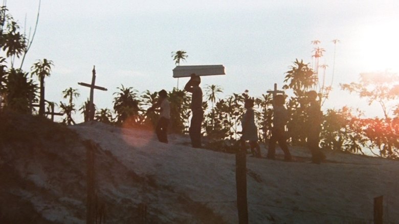 Gallery image from pWcvoLaPoeBV2Oiwxl8WezdwQQG.jpg