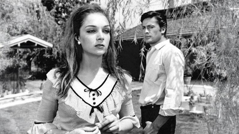 Gallery image from pWmUrdn42EW1jC3EqxdHb7JQLCu.jpg