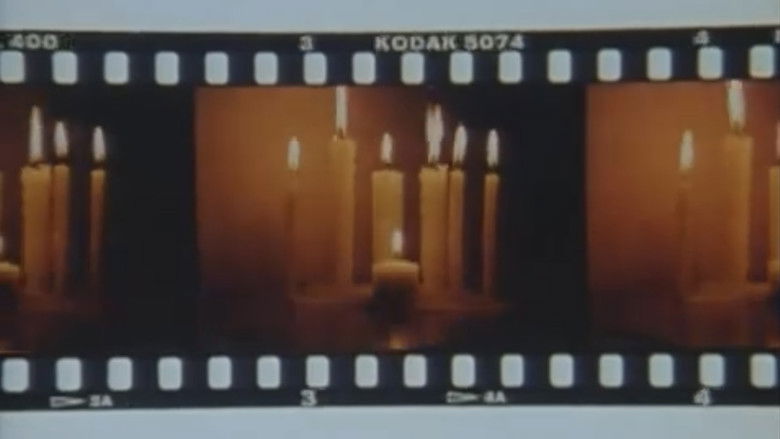 Gallery image from pWu97eLjiyRUyL1kKEIdFIwMuvN.jpg