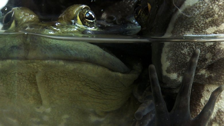 Gallery image from pWwqlpteIA08gSdSHx3T0wTzffv.jpg