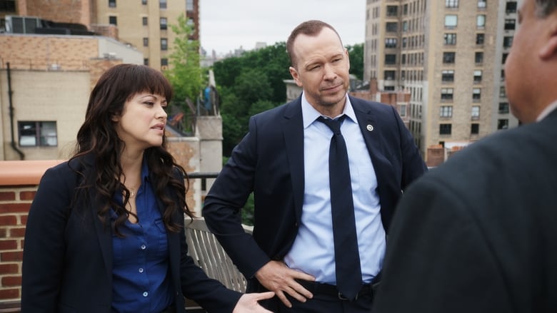 Blue Bloods (Familia de policías): 8×3