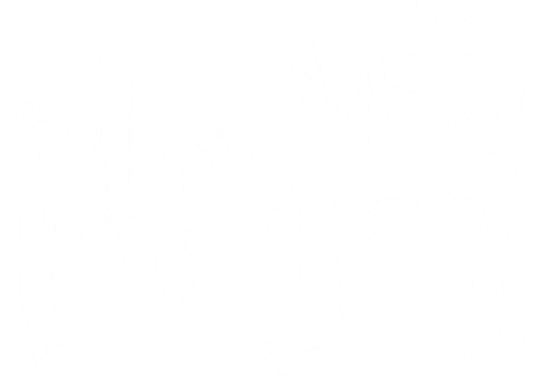 Film backdrop