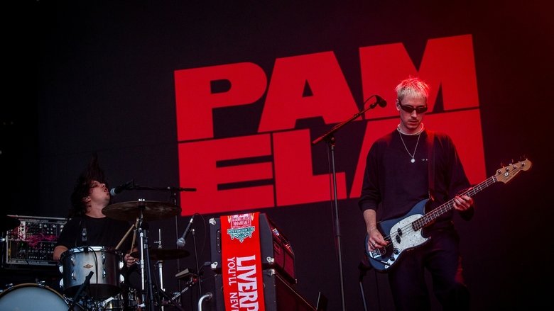 Pamela en concert aux Vieilles Charrues 2025 (2025)